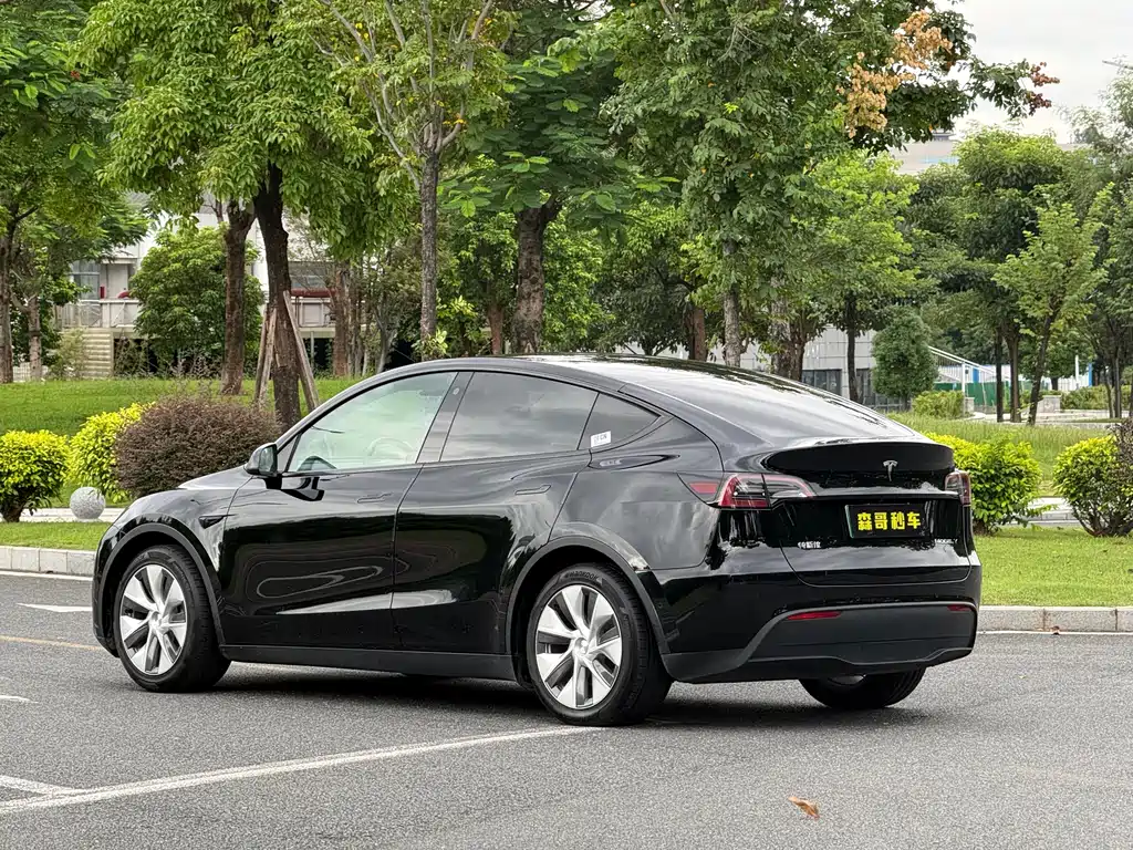 Tesla Model Y — миниатюра 12