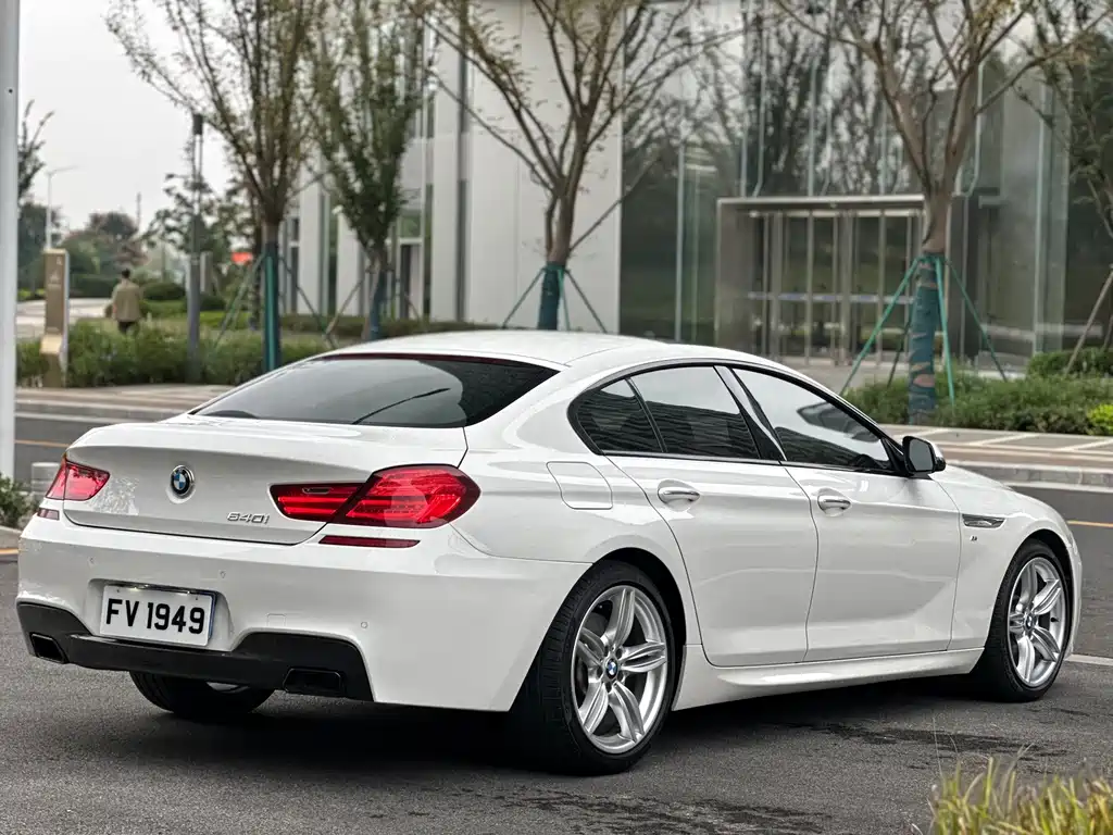 BMW 6 Series — миниатюра 6