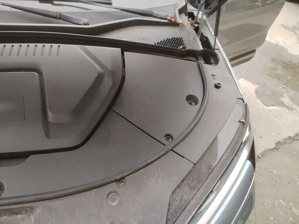 BYD PLUS New Energy — миниатюра 20