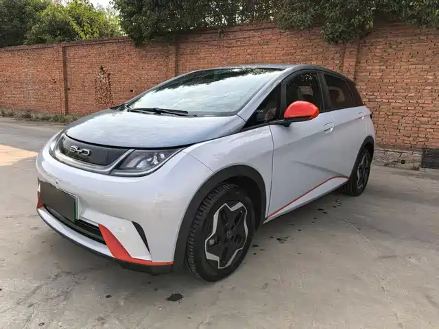 BYD Dolphin