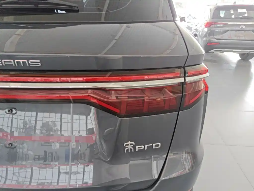 BYD Pro — миниатюра 24