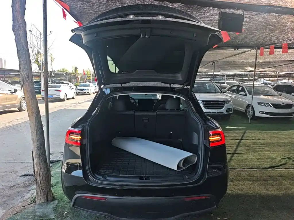 Tesla Model Y — миниатюра 19