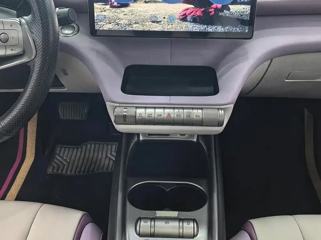 BYD Dolphin 2021 401km