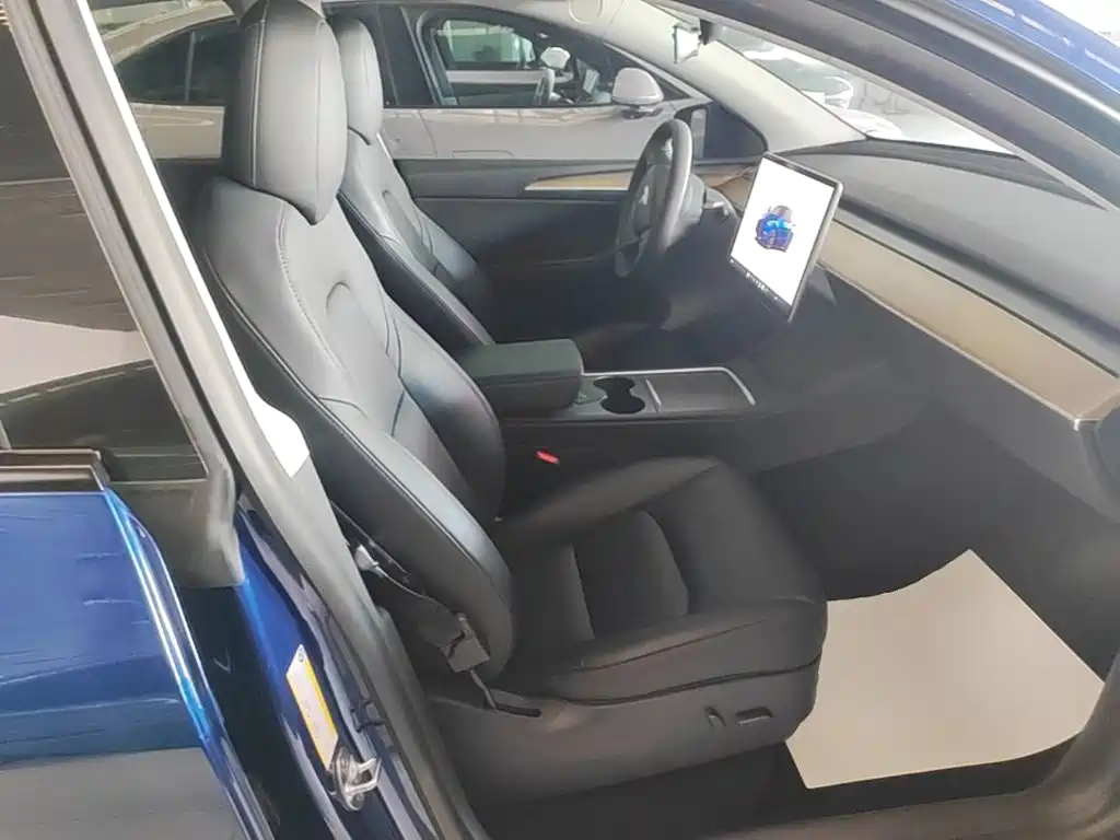 Tesla Model Y — миниатюра 25