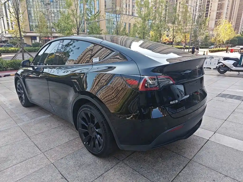 Tesla Model Y — миниатюра 5