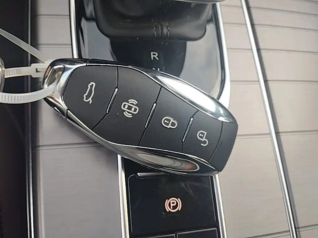Hongqi HS7 PHEV 2024 2.0T PHEV 6 мест