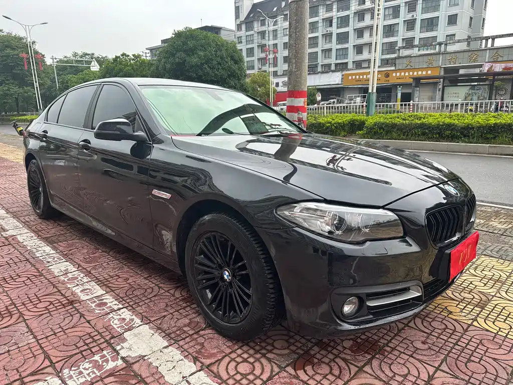 BMW 5 Series 5 2014 525Li Lead