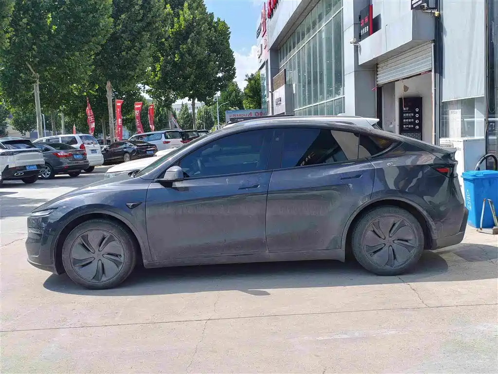 Tesla Model Y — миниатюра 3