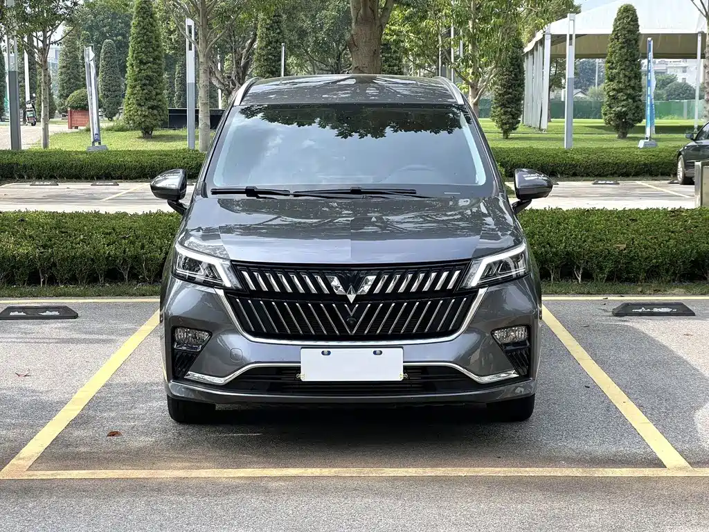 Wuling Jiachen — миниатюра 2