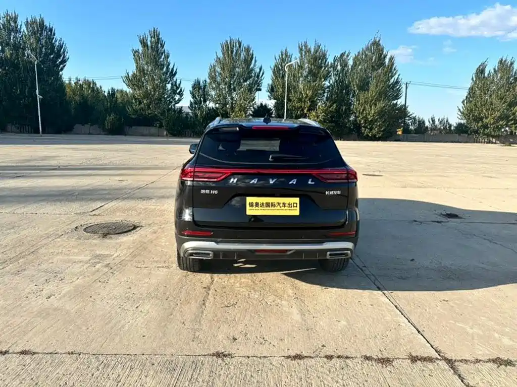Haval H6 — миниатюра 5