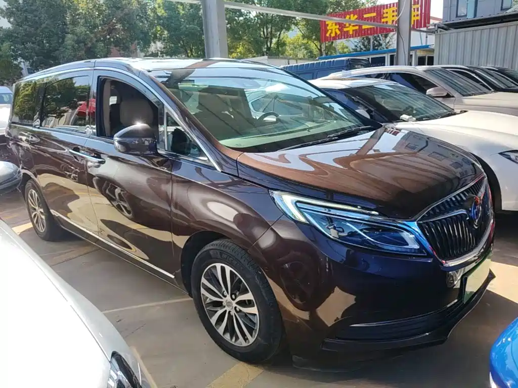 Buick GL8 — миниатюра 22