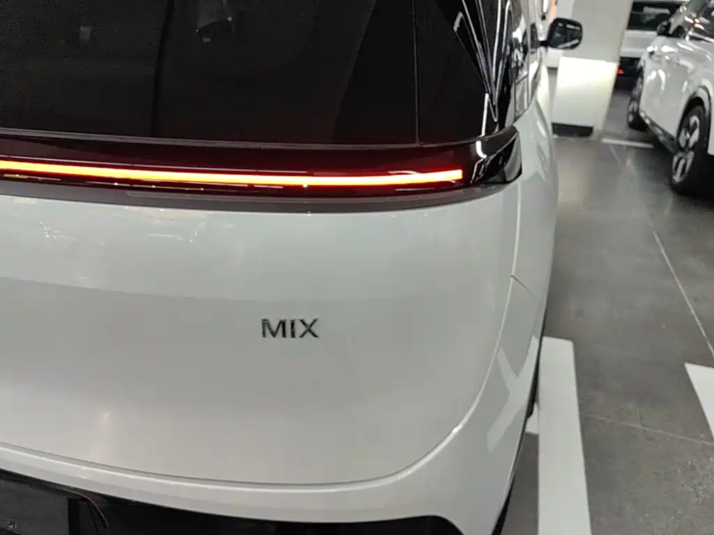 Zeekr Mix 2025 Smart Drive