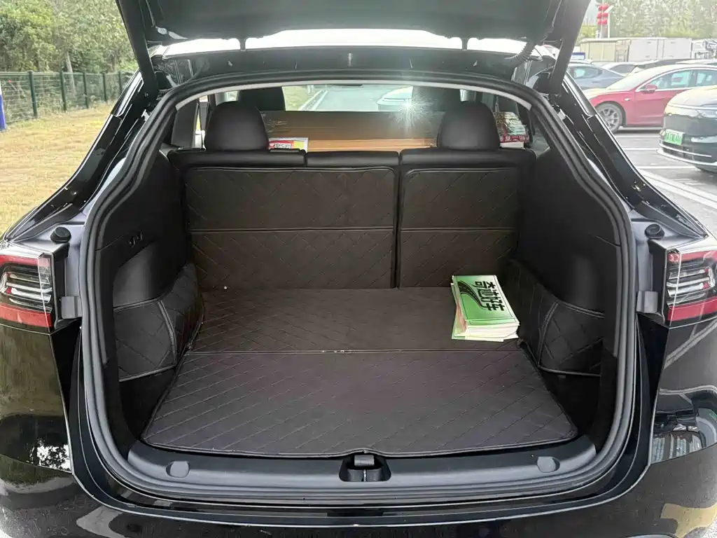 Tesla Model Y — миниатюра 6