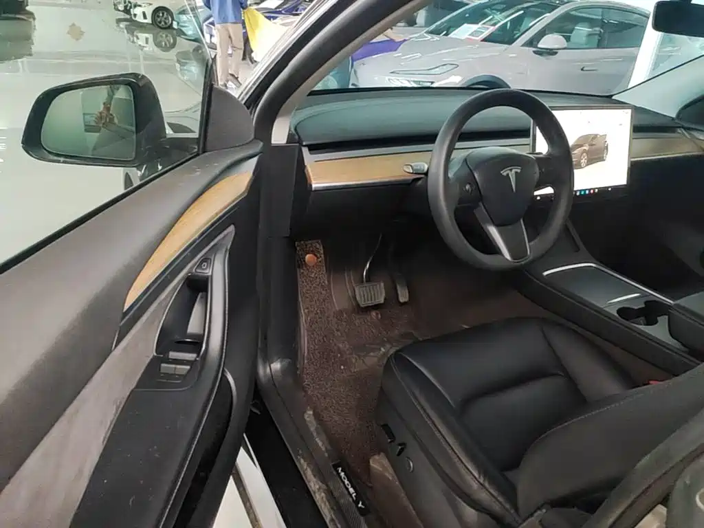 Tesla Model Y — миниатюра 16