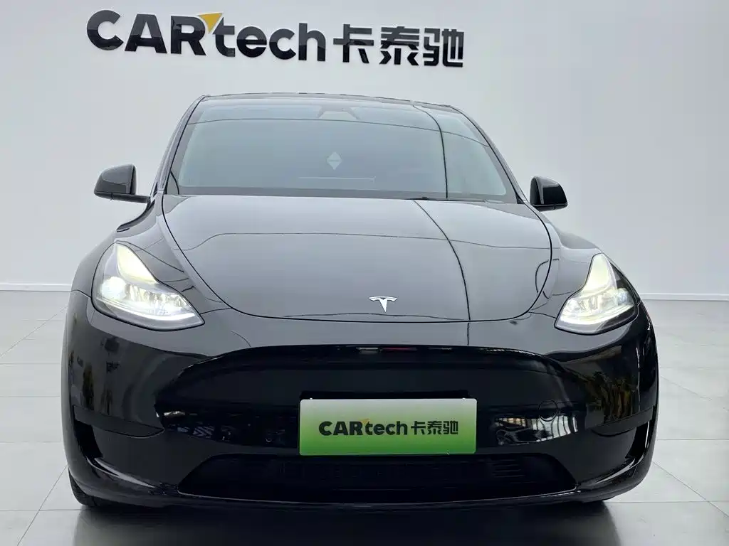 Tesla Model Y — миниатюра 8