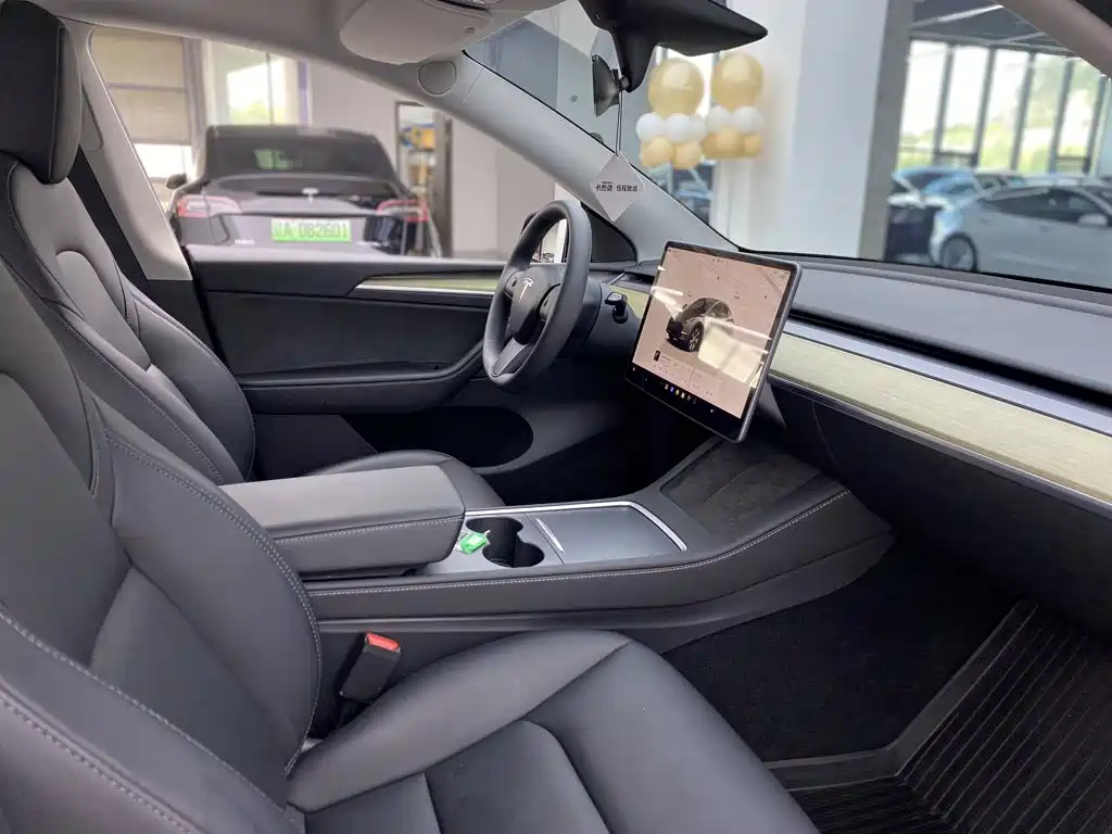 Tesla Model Y — миниатюра 16