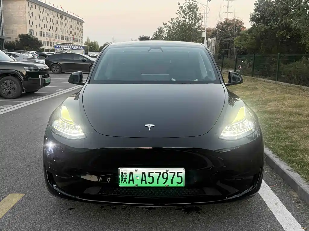 Tesla Model Y — миниатюра 2