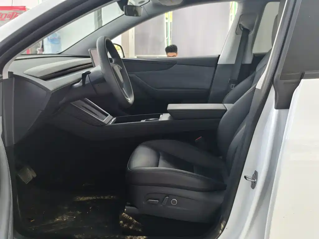Tesla Model Y — миниатюра 3