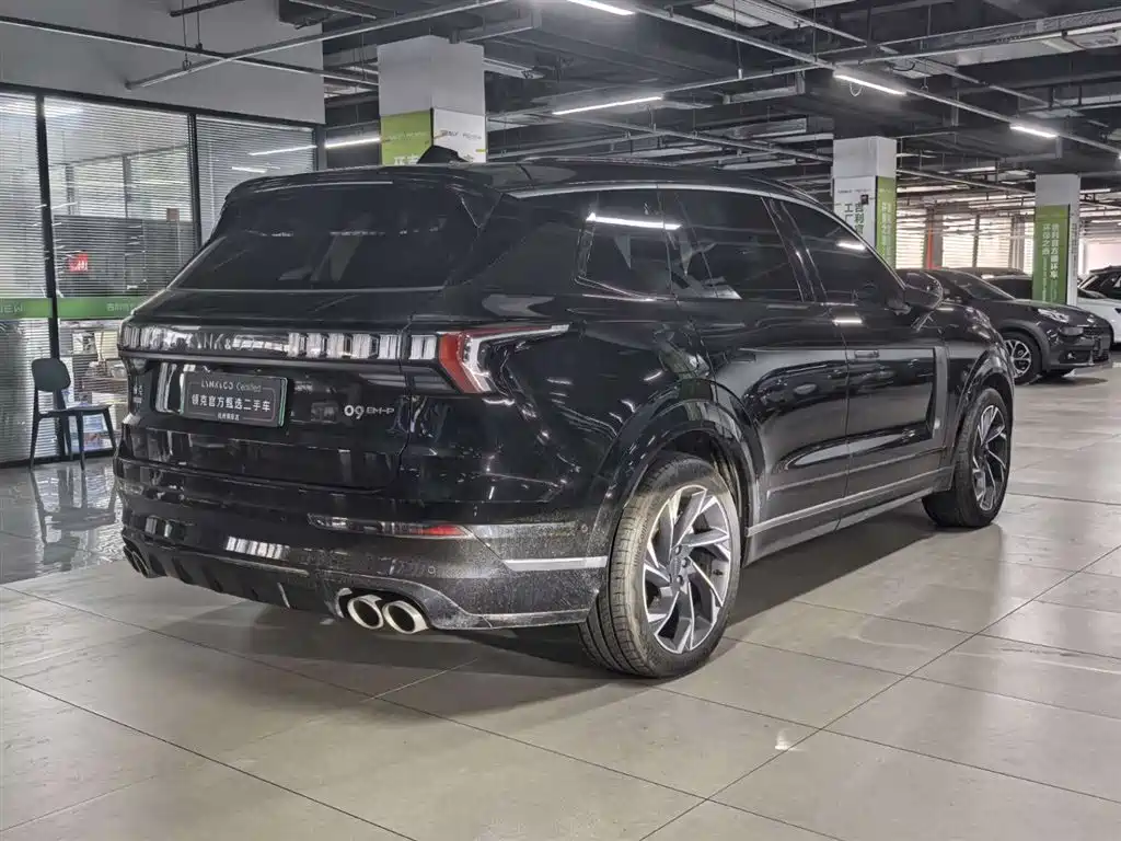 Lynk & Co 09 EM-P 2021 2.0T PHEV Halo мест