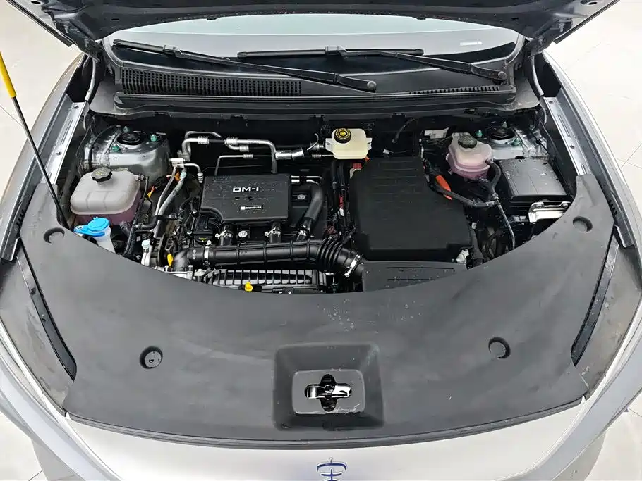 BYD Song Pro Pro 2026 DM-i 133KM