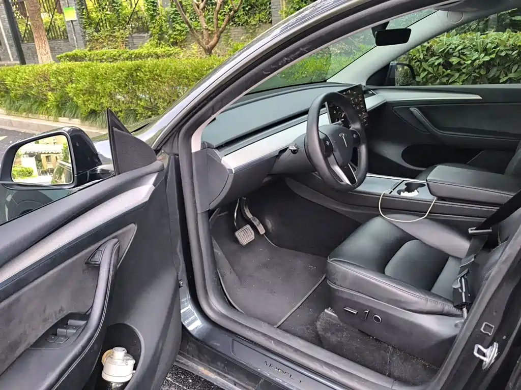 Tesla Model Y — миниатюра 14