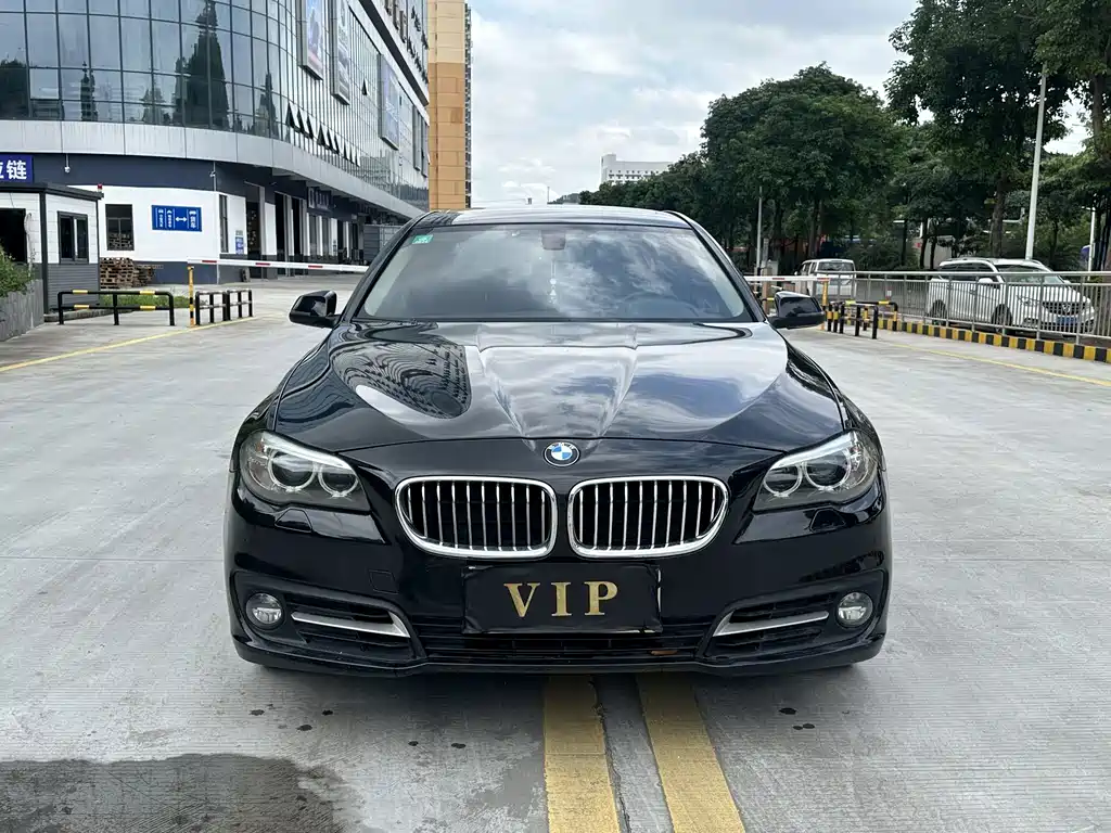 BMW 5 Series — миниатюра 2