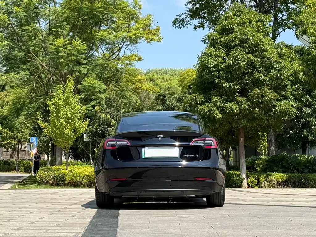 Tesla Model 3 — миниатюра 8