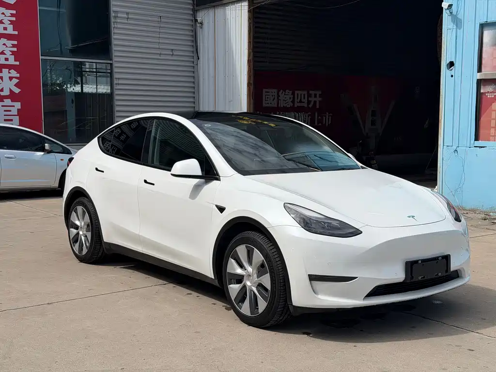 Tesla Model Y — миниатюра 3