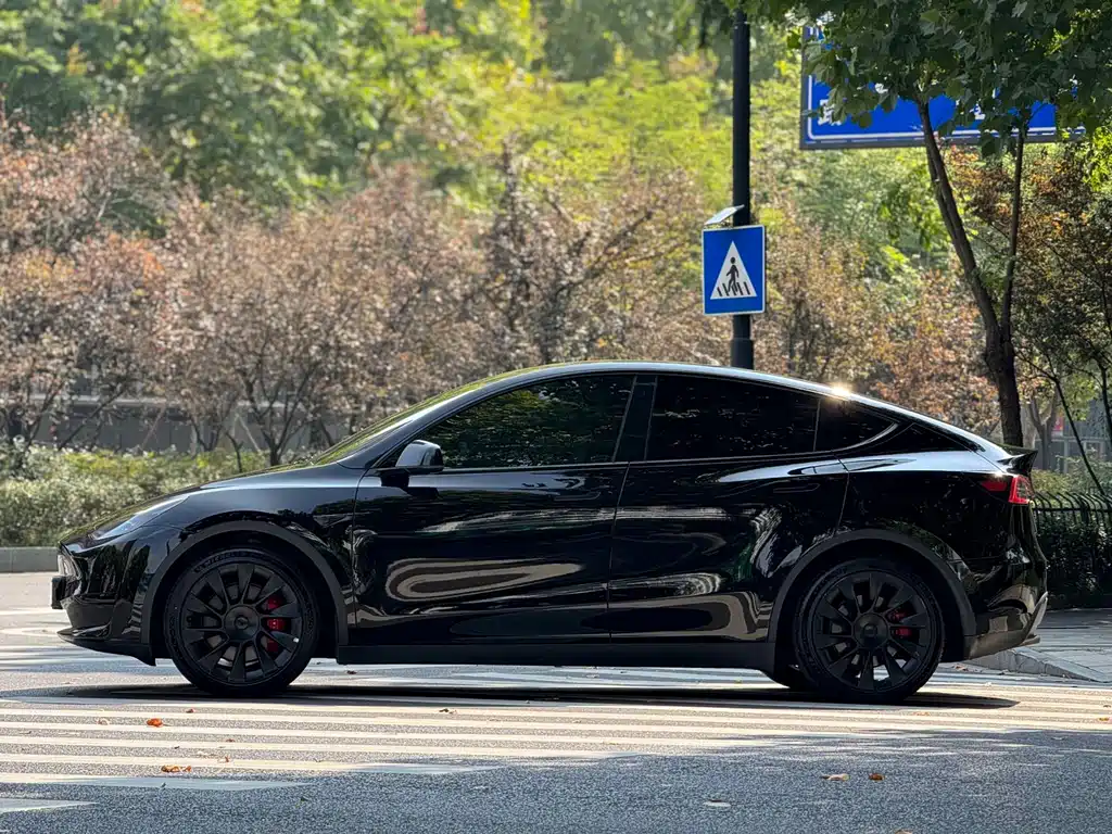 Tesla Model Y — миниатюра 3