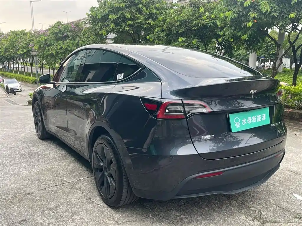 Tesla Model Y — миниатюра 6
