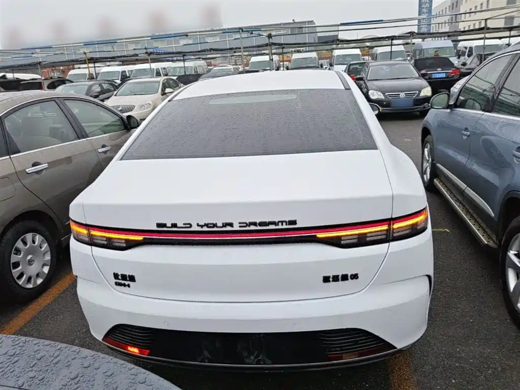 BYD Destroyer 05 2024 DM-i 55KM Luxury