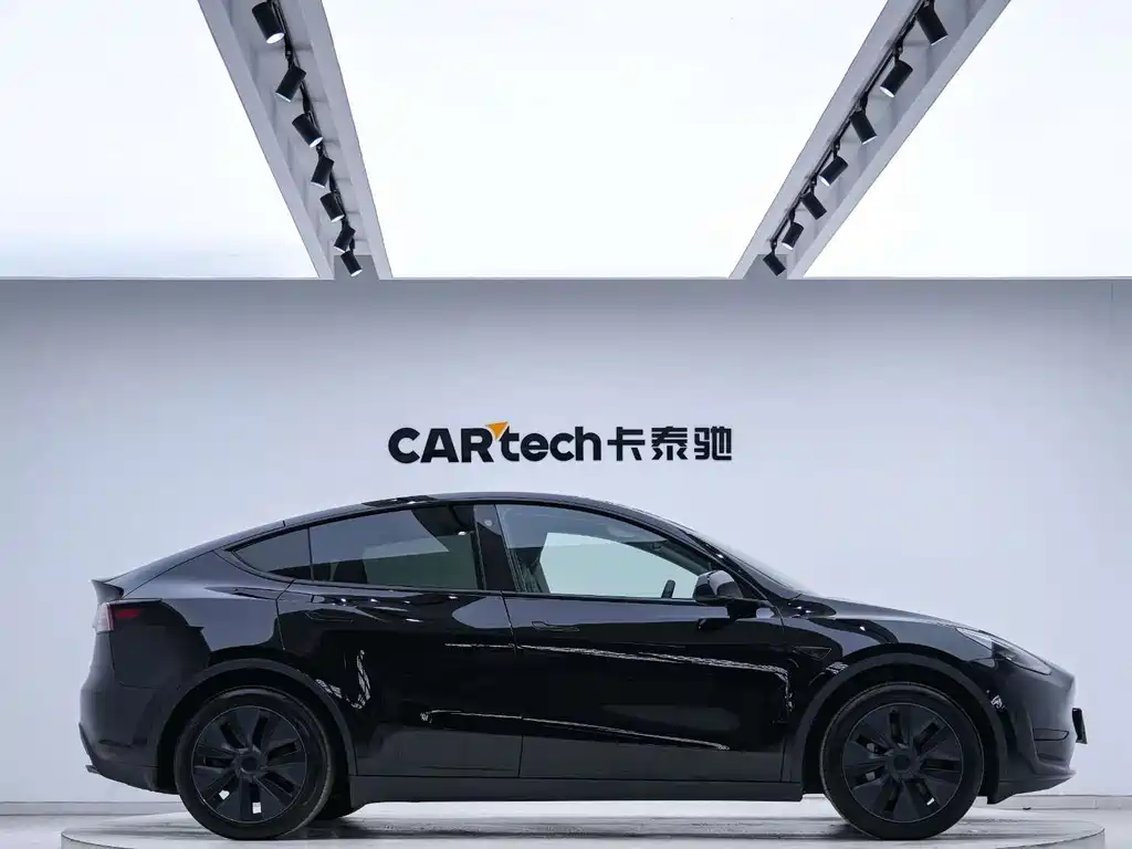 Tesla Model Y — миниатюра 4