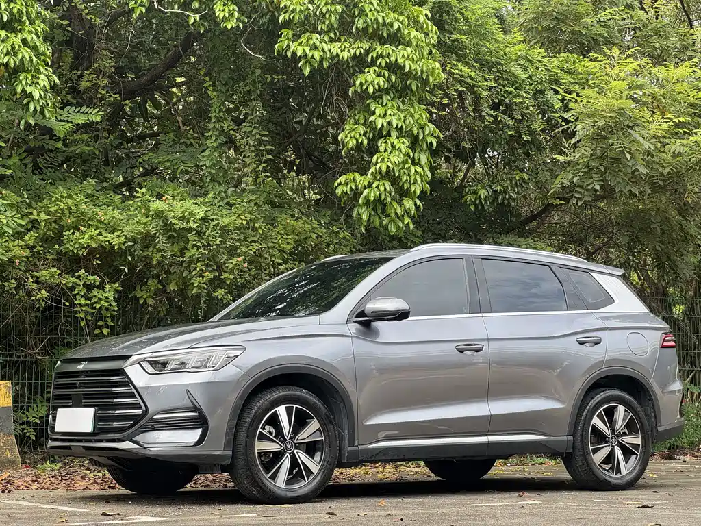BYD Pro New Energy