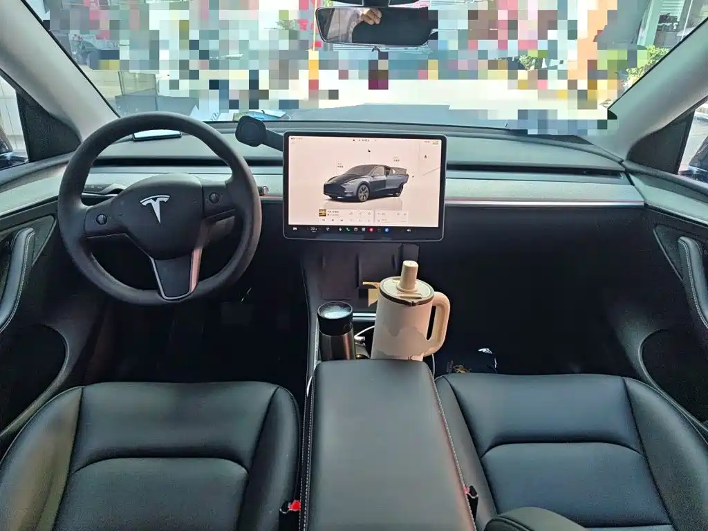 Tesla Model Y — миниатюра 10