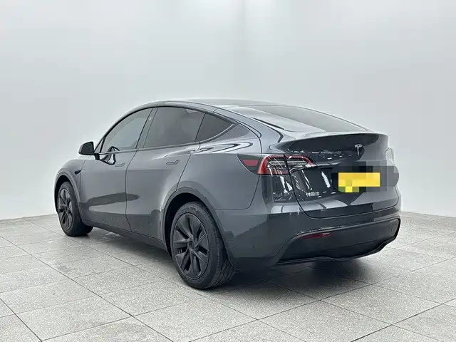 Tesla Model Y — миниатюра 4