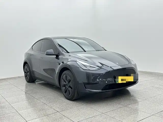 Tesla Model Y — миниатюра 3