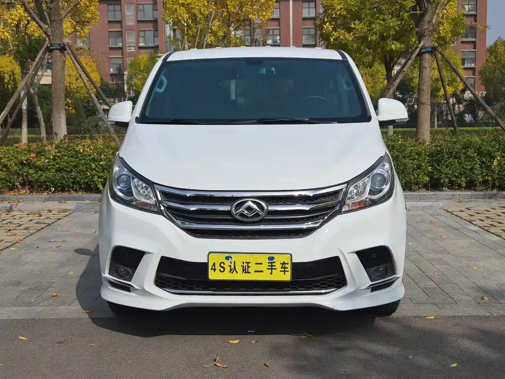 SAIC MAXUS CHASE G10