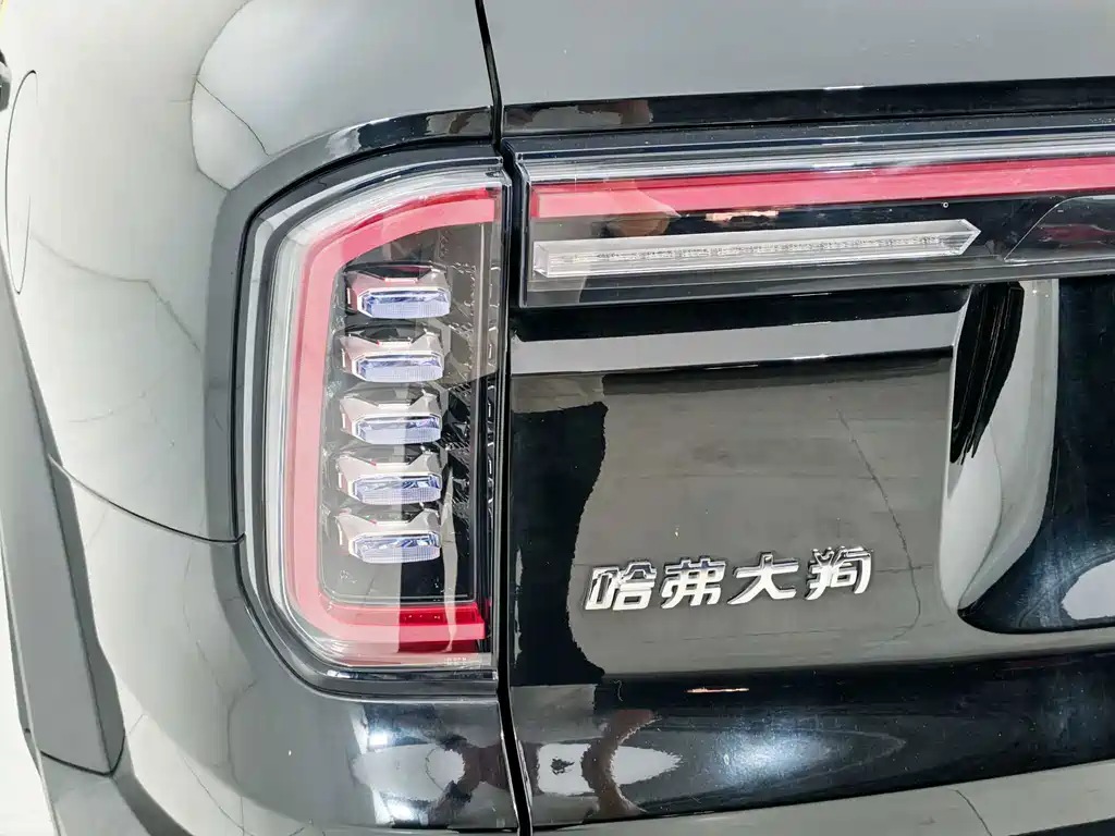Haval Big Dog — миниатюра 16