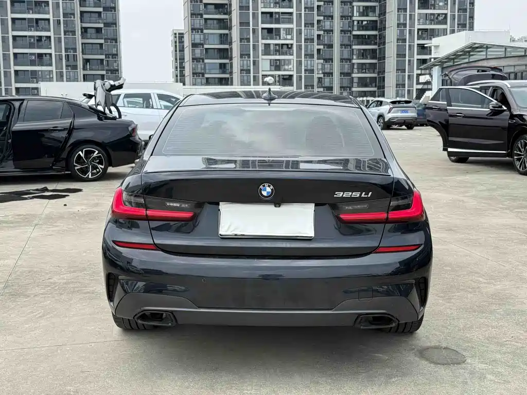 BMW 3 Series 3 2020 325Li M Sport
