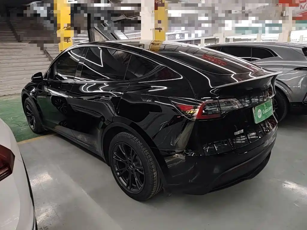 Tesla Model Y — миниатюра 5
