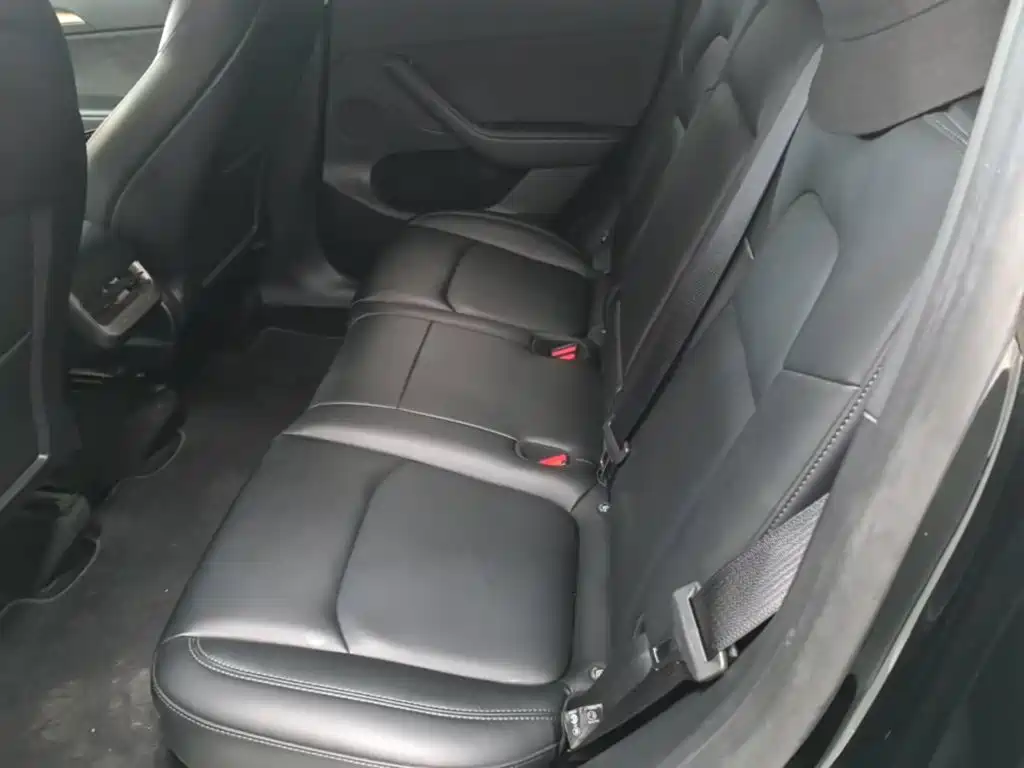 Tesla Model Y — миниатюра 17