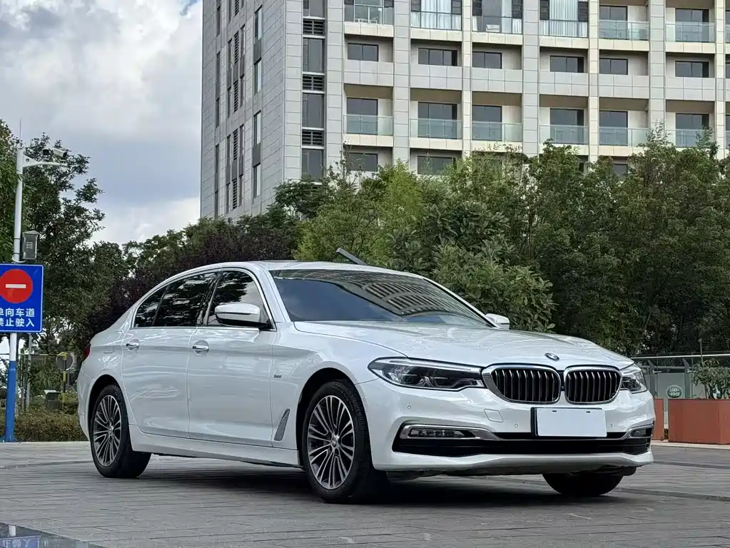 BMW 5 Series 5 2018 530Li Premium Luxury