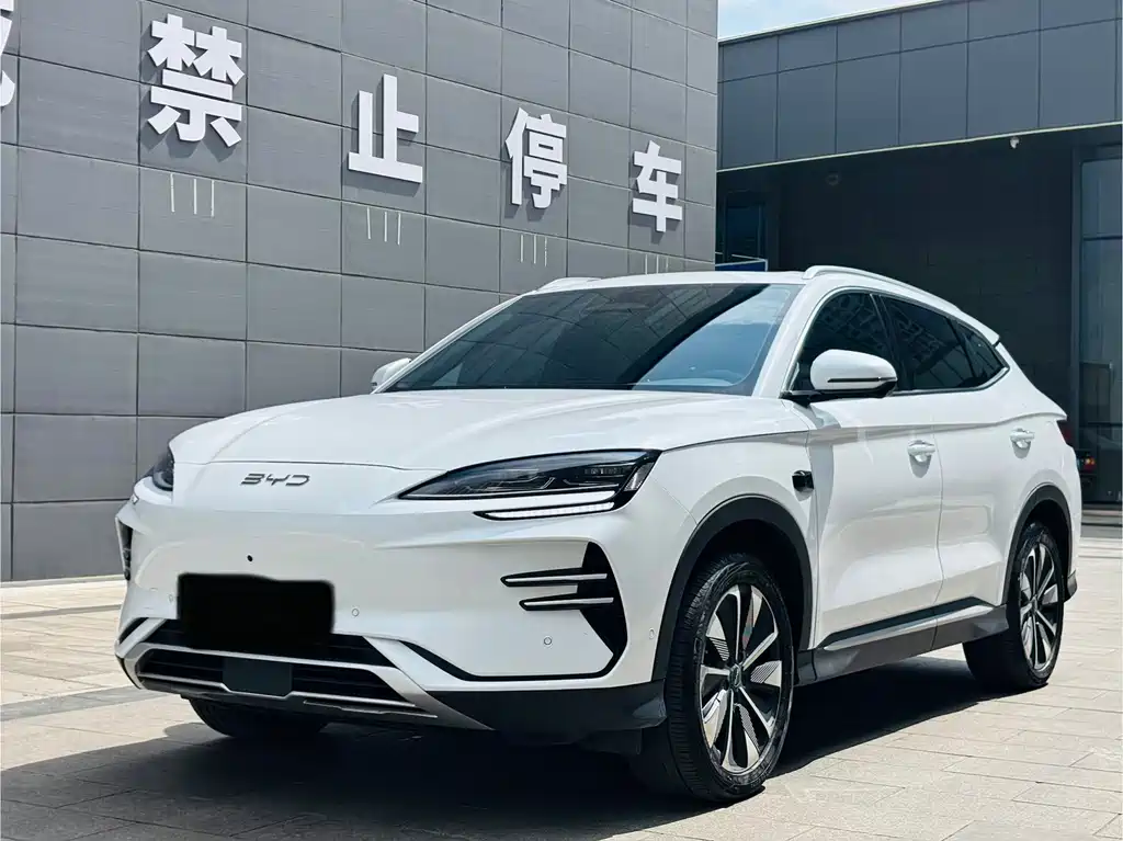 BYD PLUS New Energy