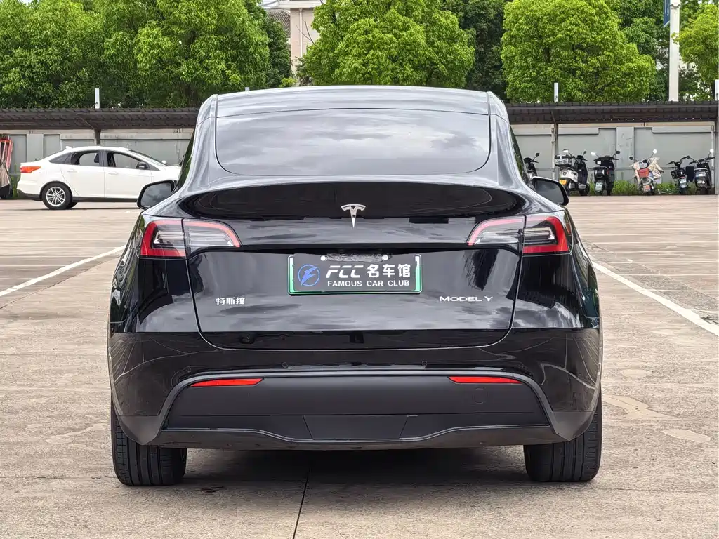 Tesla Model Y — миниатюра 4