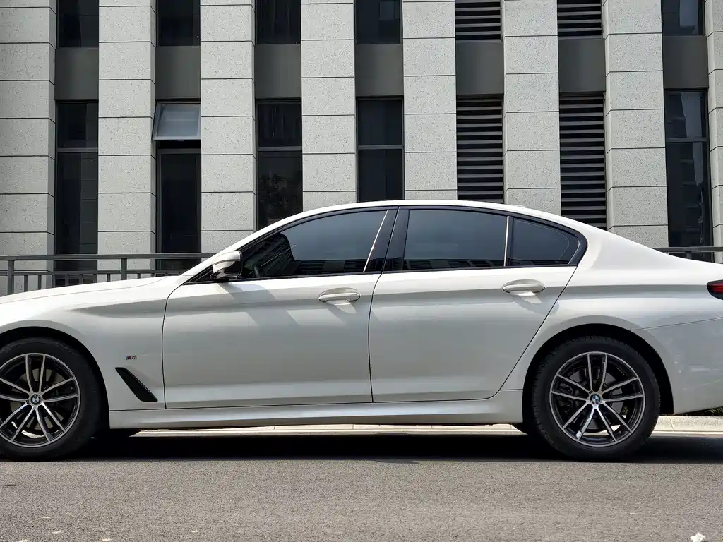 BMW 5 Series (Import) — миниатюра 2