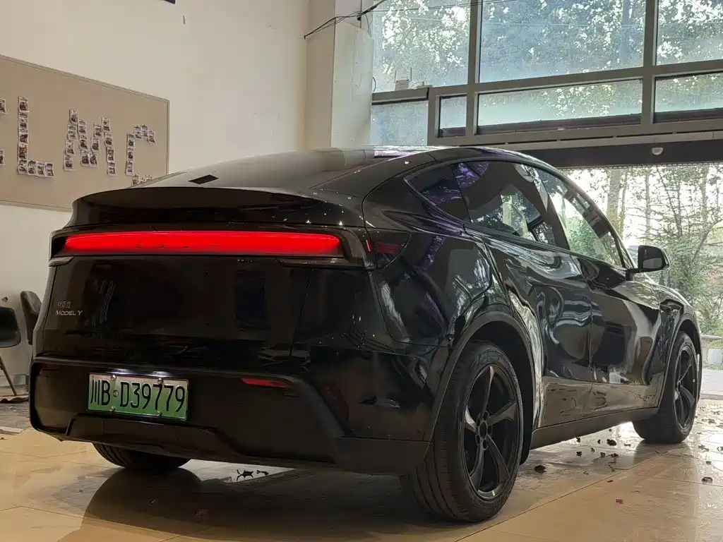 Tesla Model Y — миниатюра 7