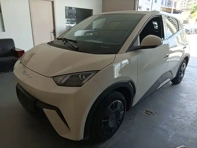 2024 BYD Seagull
