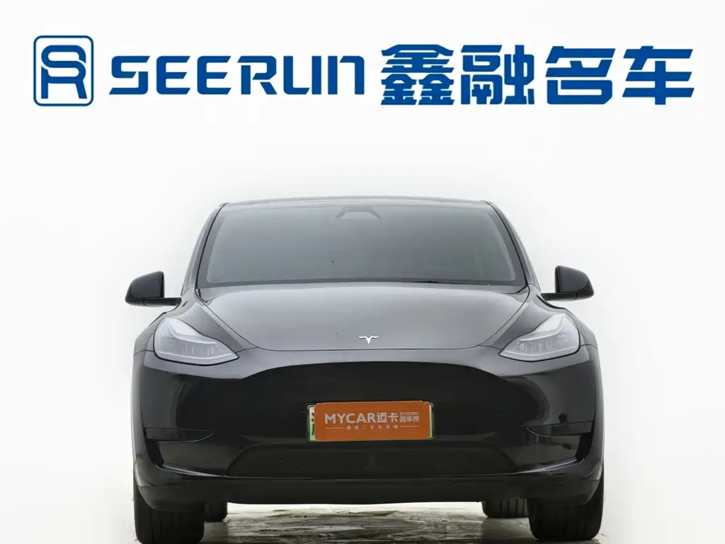 Tesla Model Y — миниатюра 2