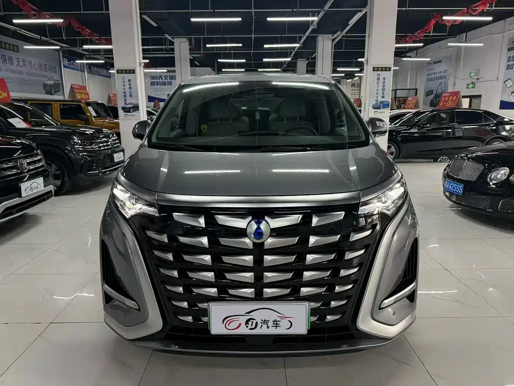 Denza Denza D9 — миниатюра 2
