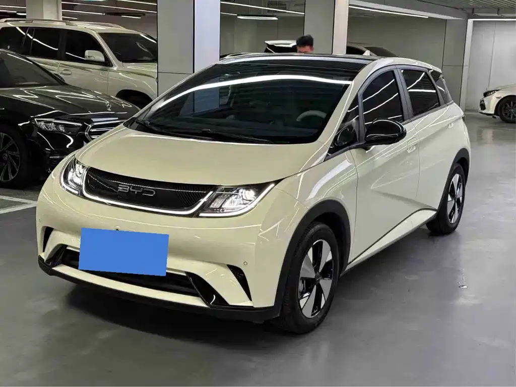 Byd Dolphin 2023